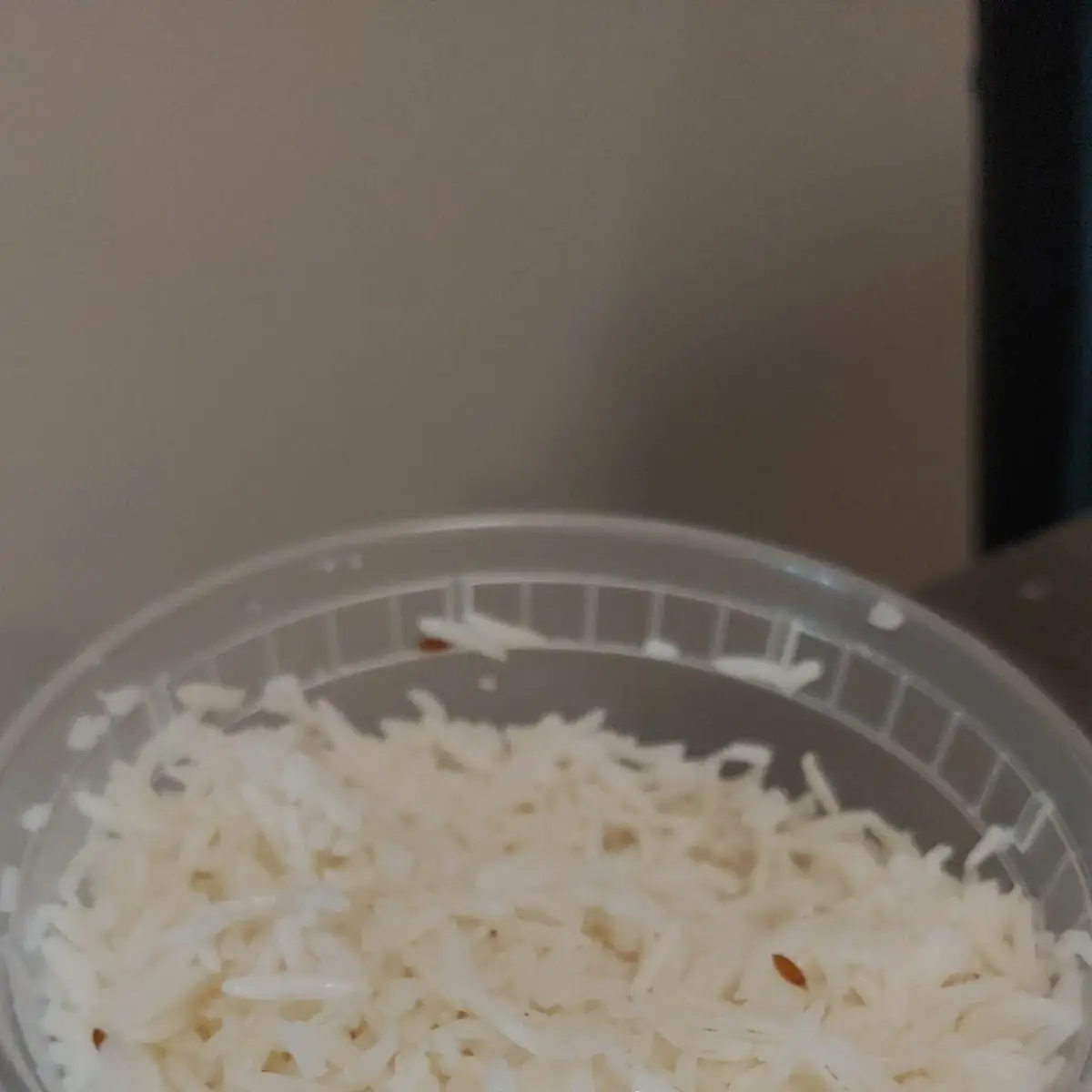 White Rice