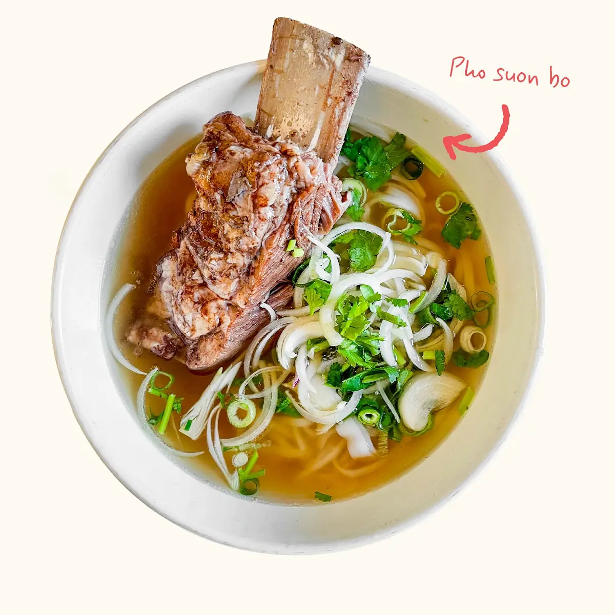 Pho Suon Bo Short Rib Pho