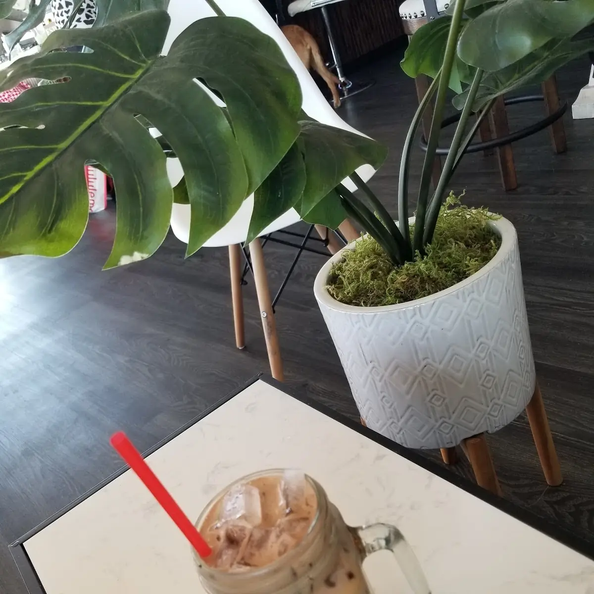 Iced Mocha
