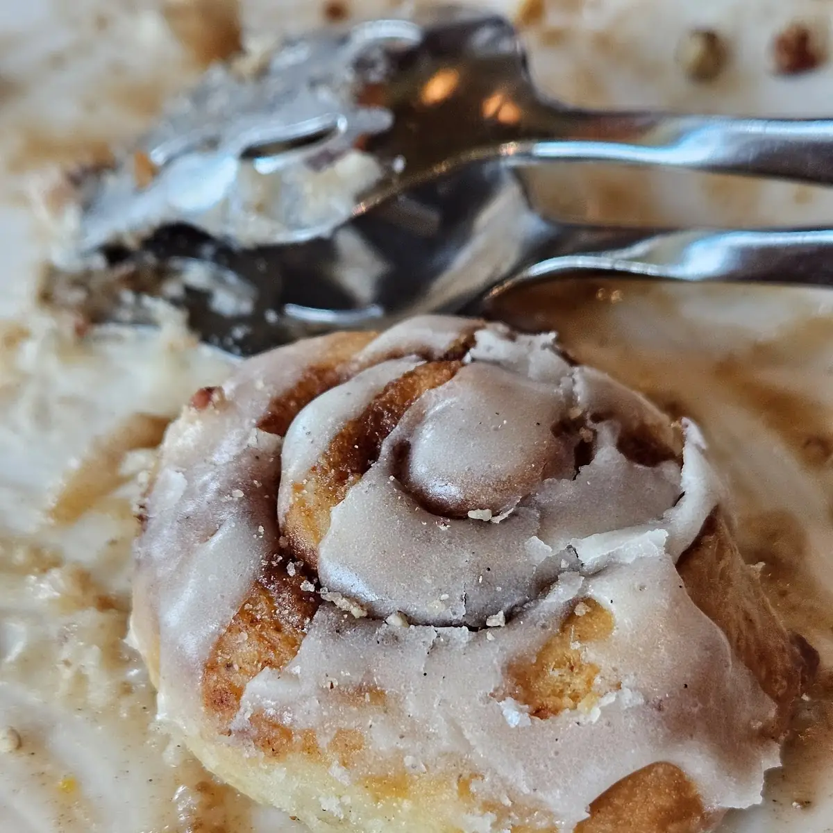 Cinnamon Roll