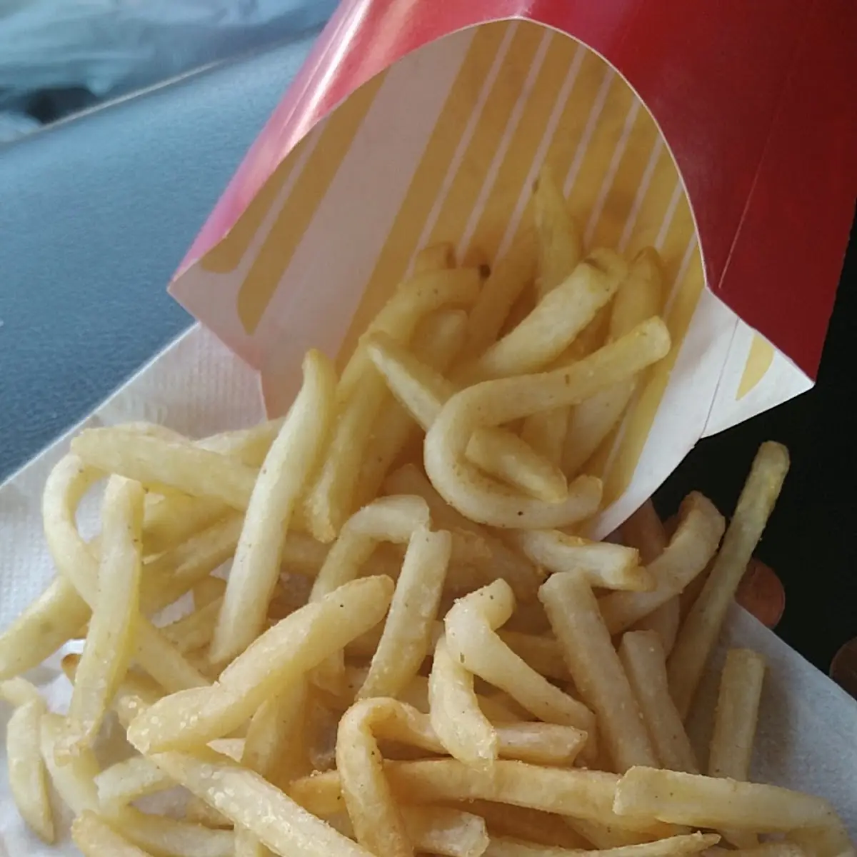 World Famous Fries