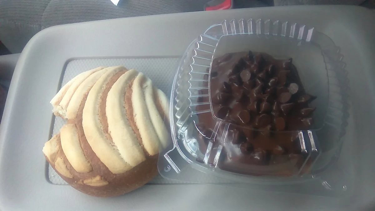 Concha and Chocolate Chip