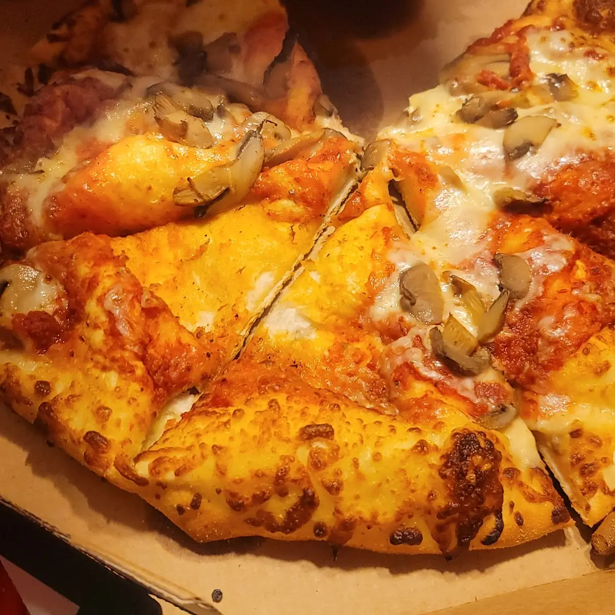 Mushroom Pizza