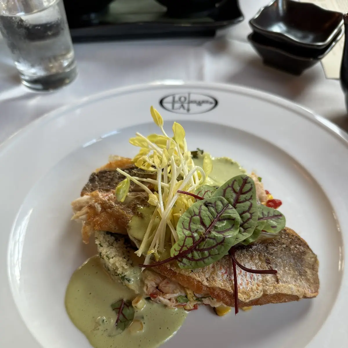 Red Snapper