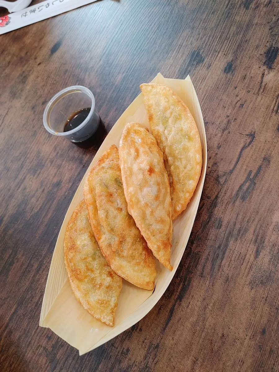 Deep Fried Veggeie Dumpling