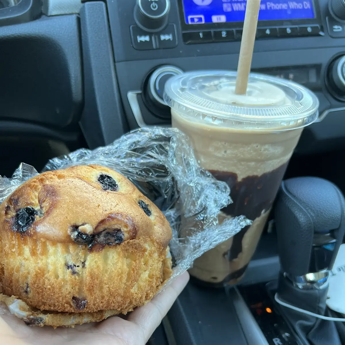 Blueberry Muffin