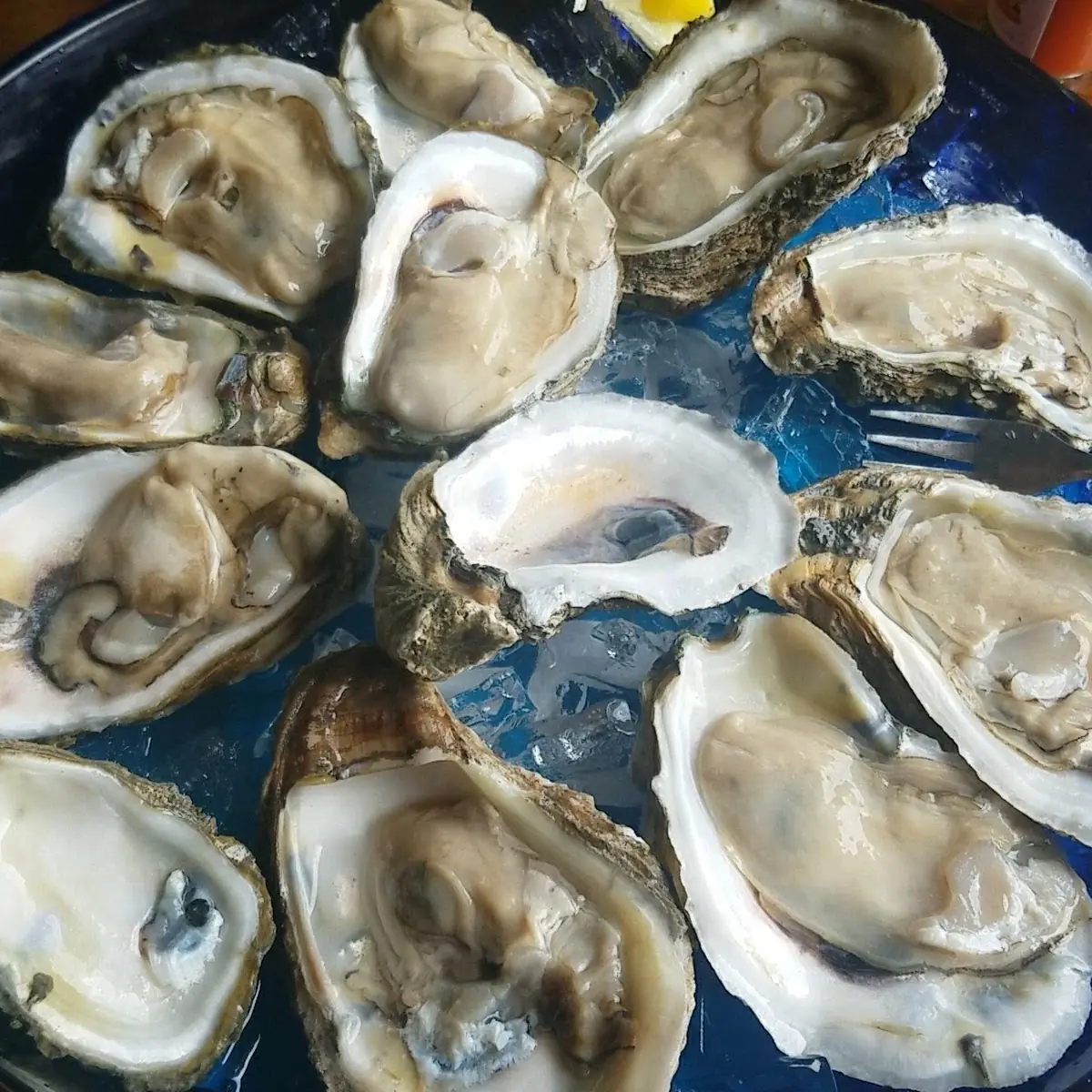 Oysters on the Half Shell