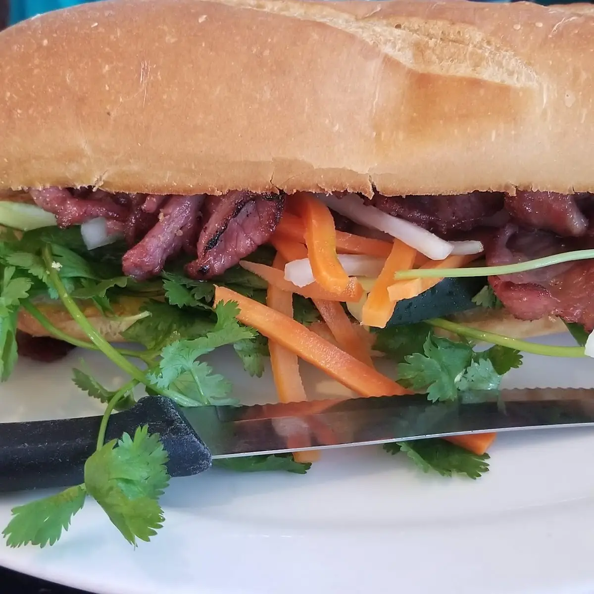 BM-1 Vietnamese Char Siu Sub