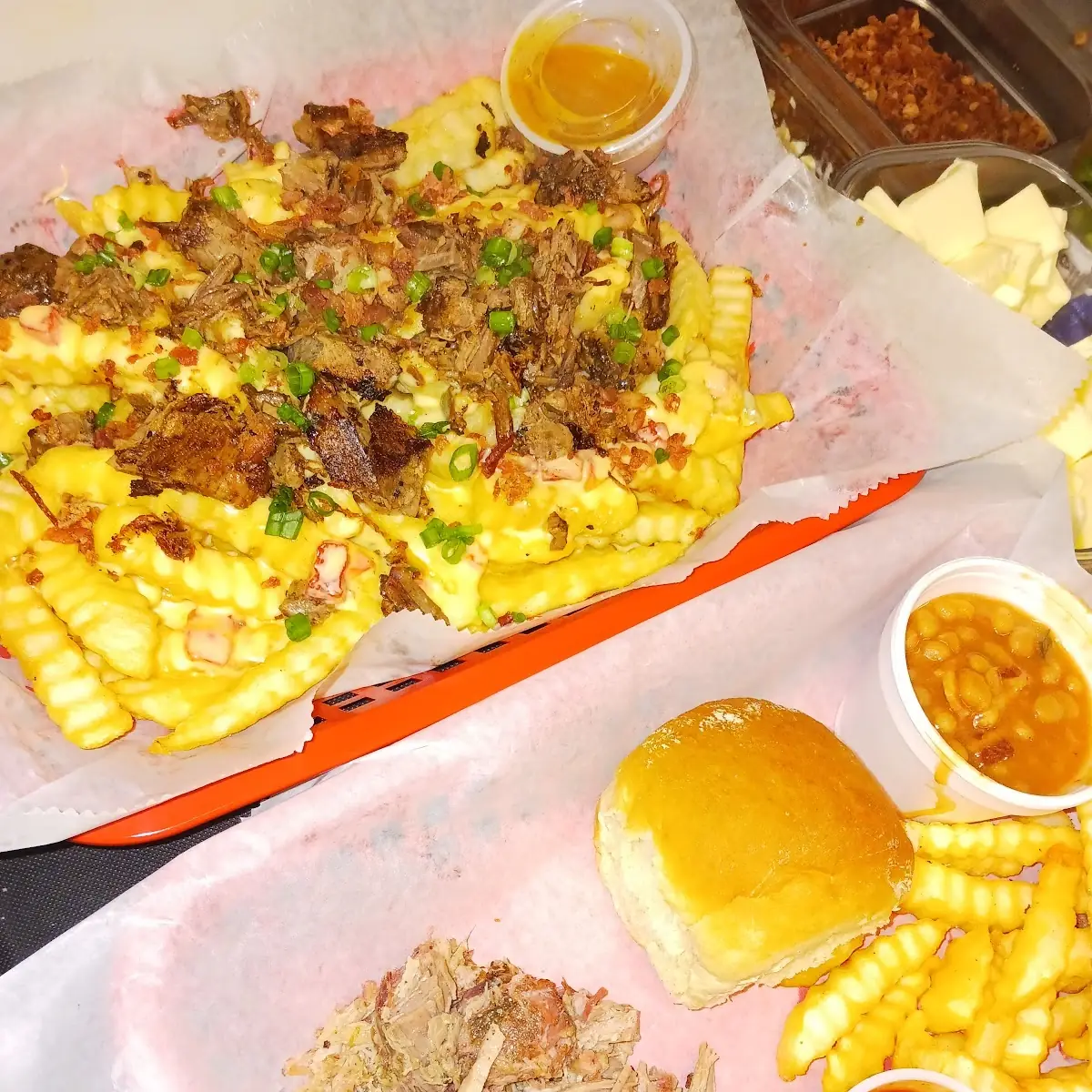 Loaded Fries & BBQ Plate