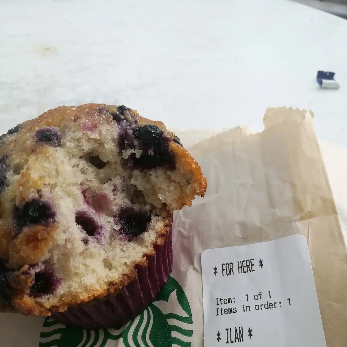 Blueberry Muffins