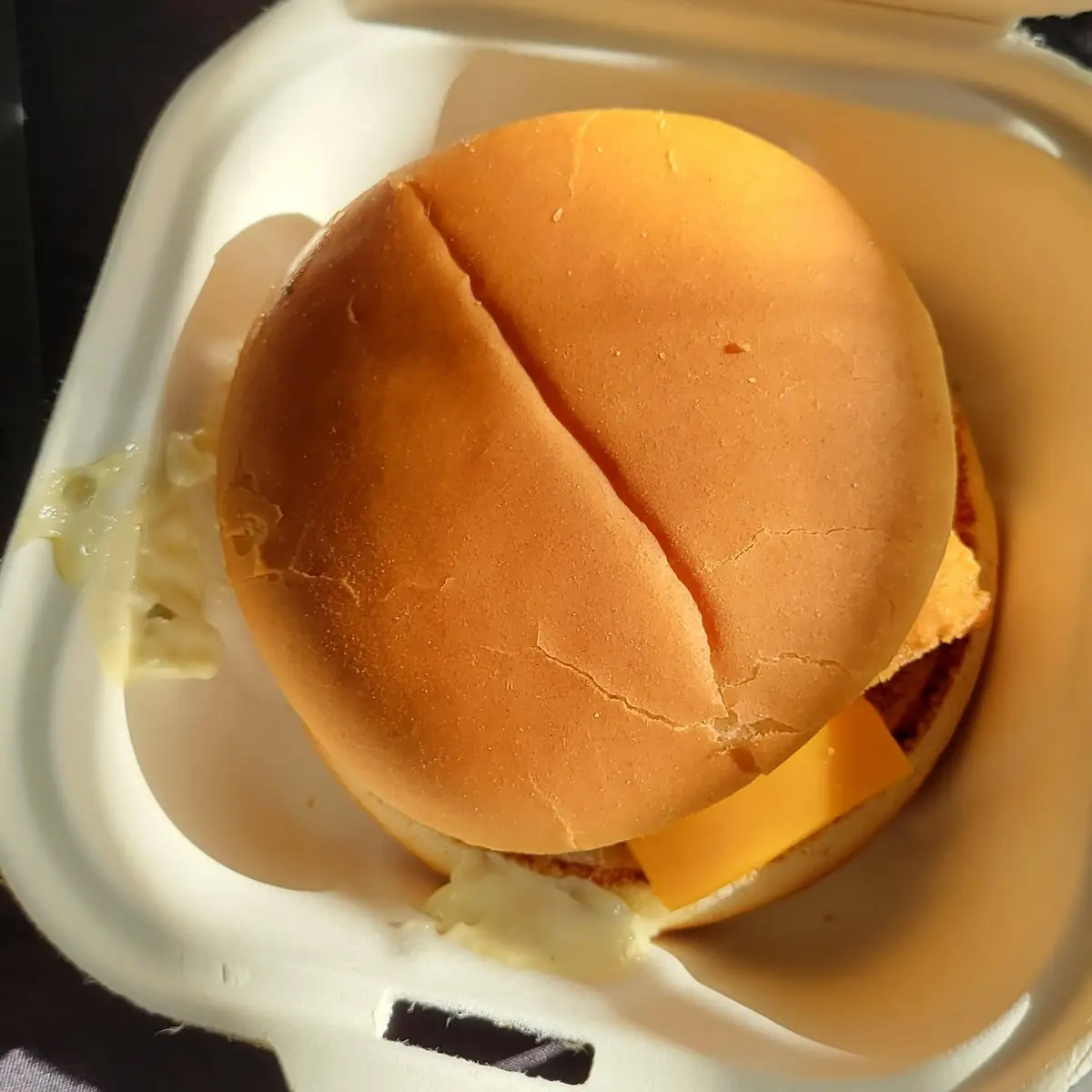 Fish Sandwich Combo