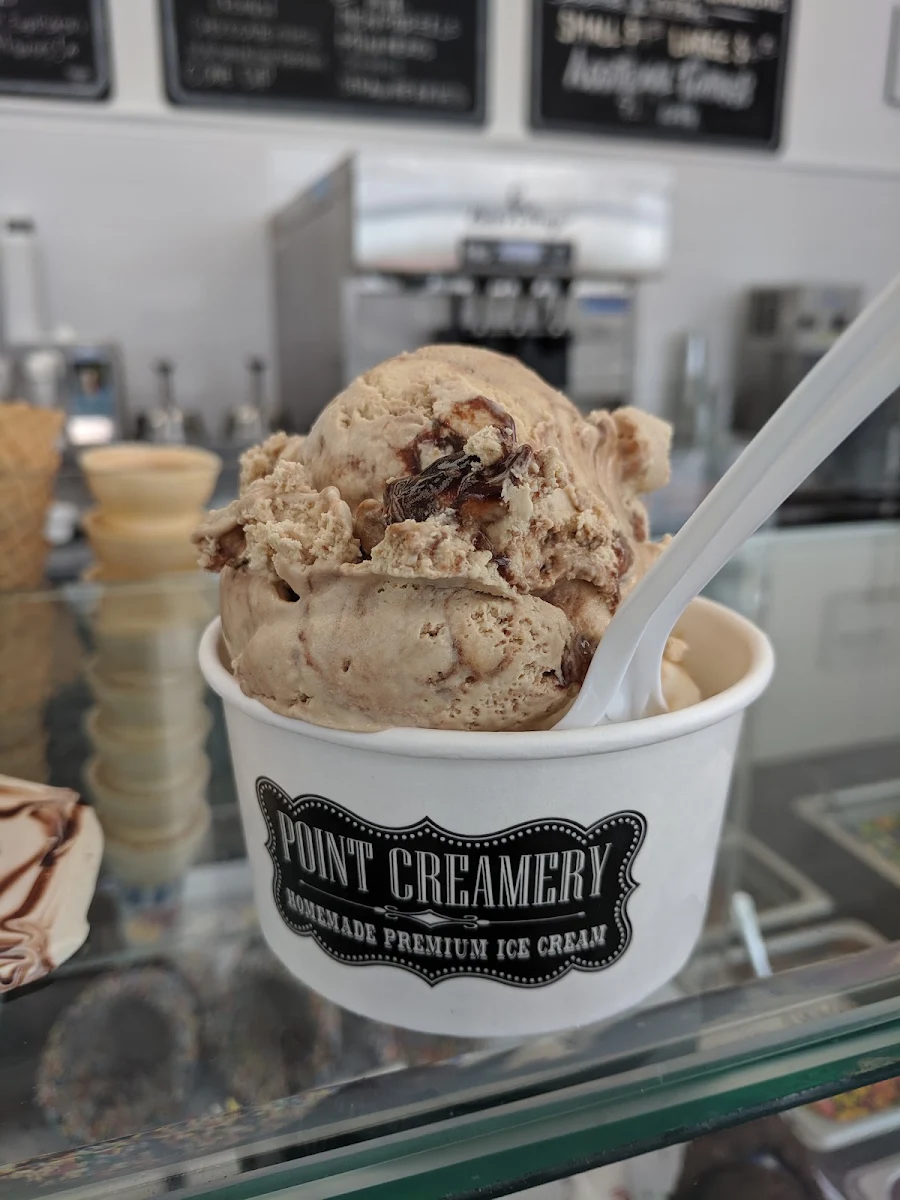Mint Chocolate Chip Ice Cream