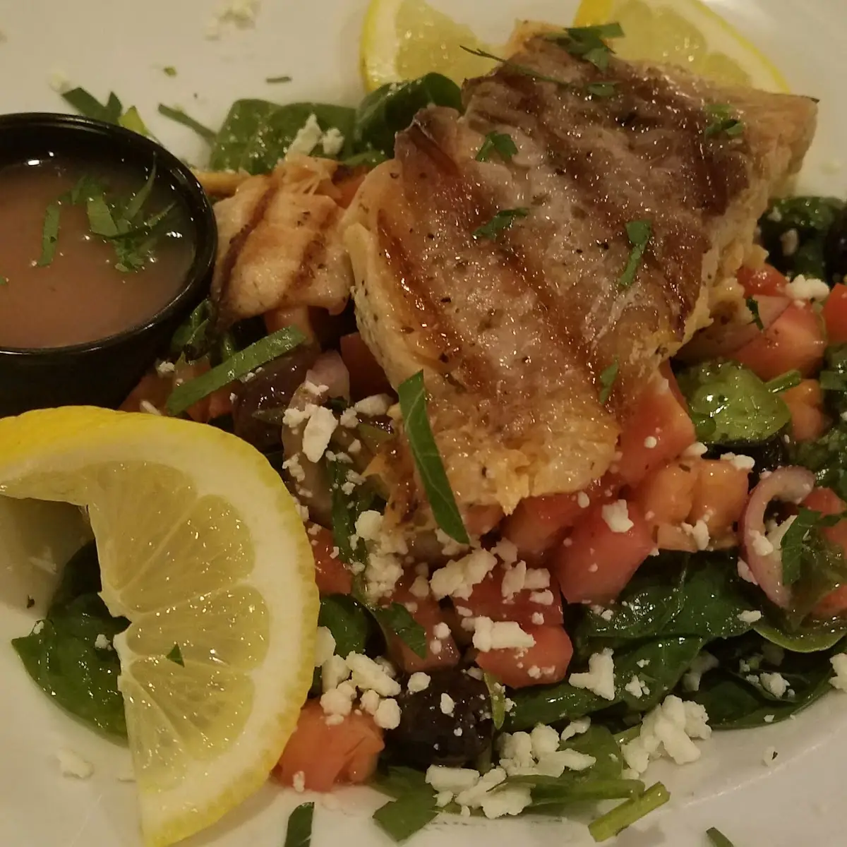 Grilled Salmon Salad