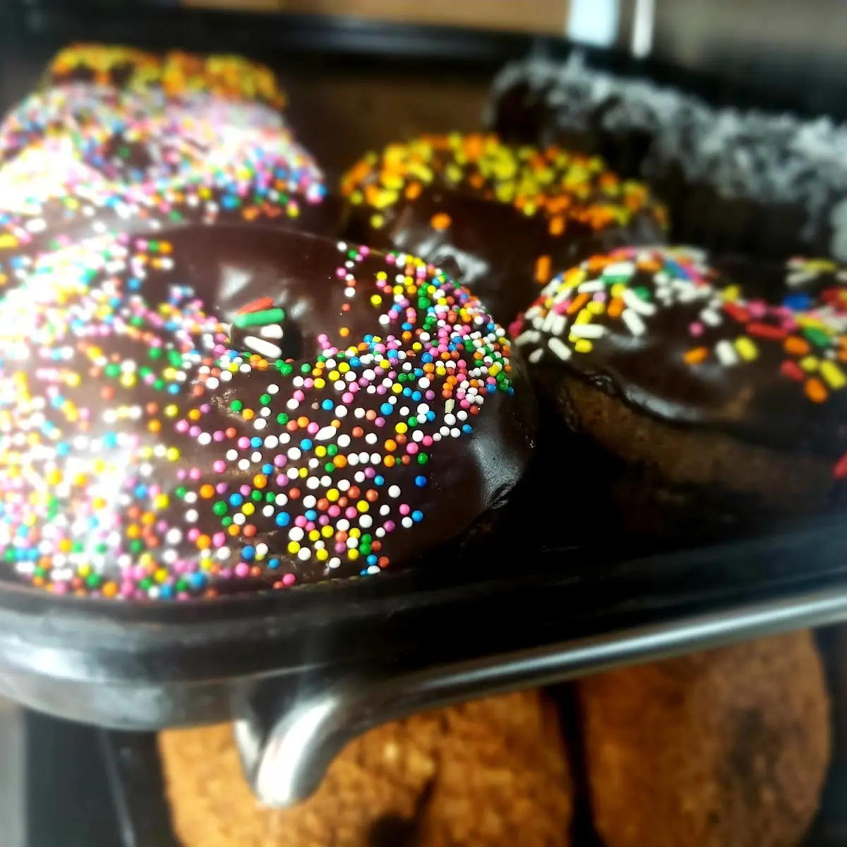 Double Chocolate Donuts