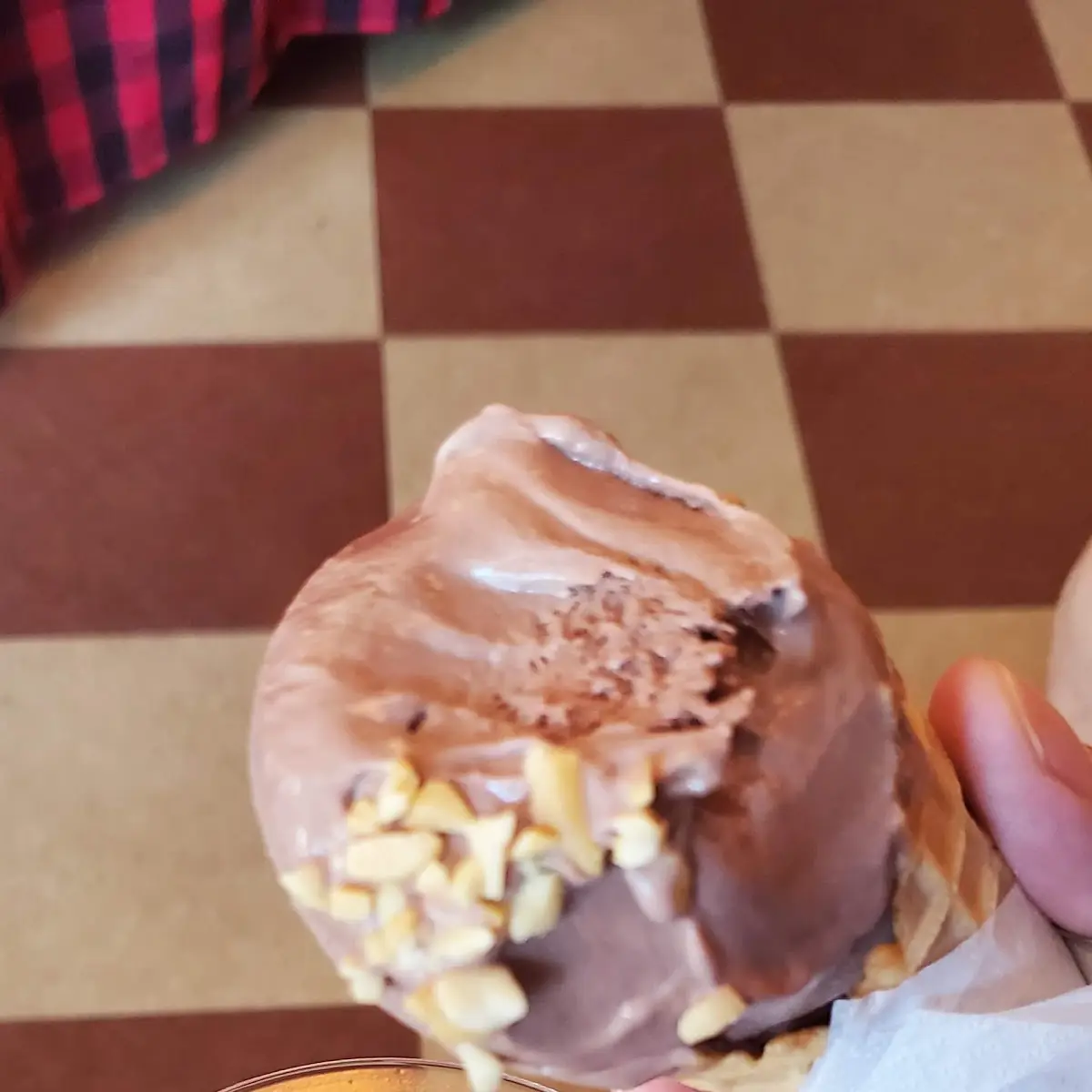 Chocolate Frozen Custard with Peanuts