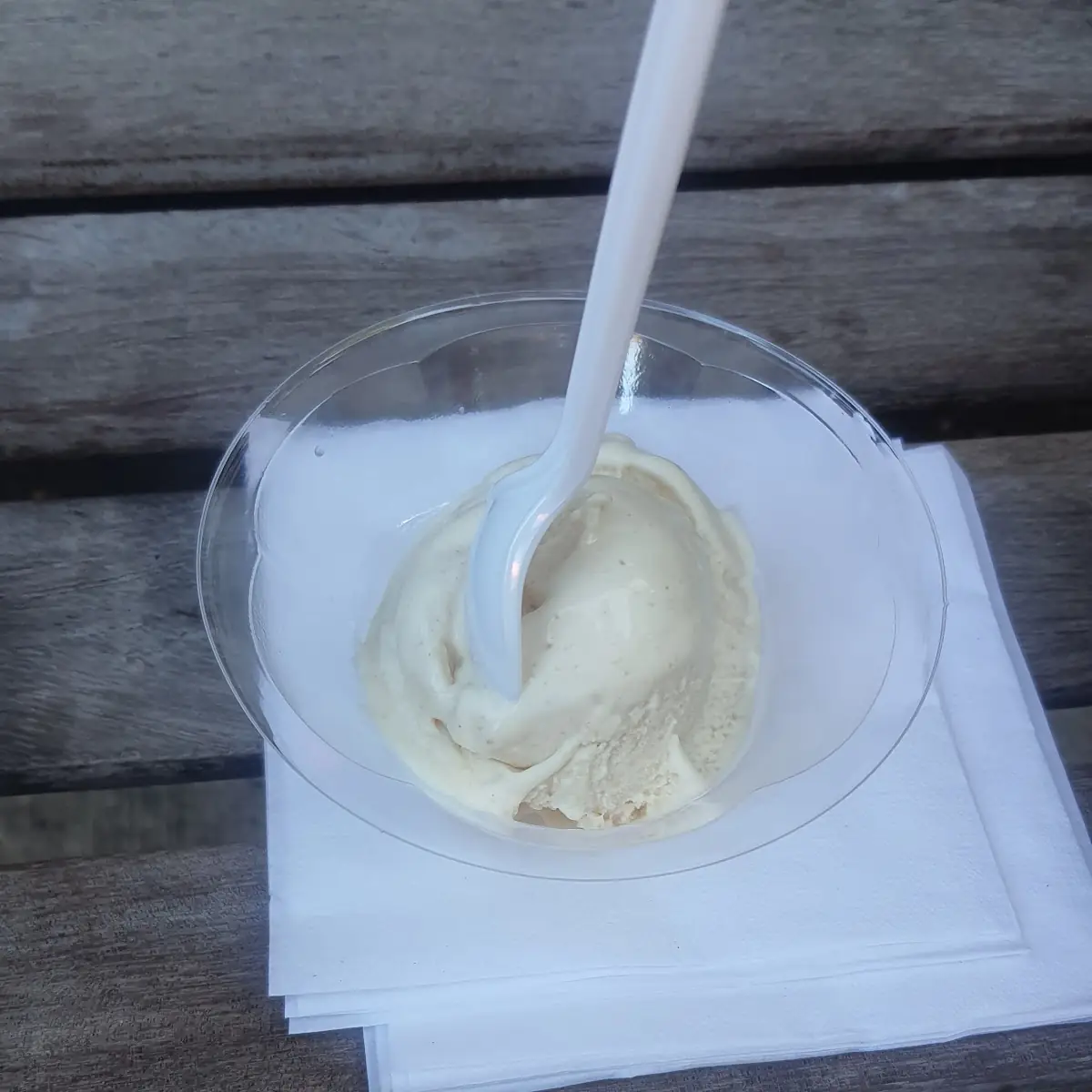 Vanilla Ice Cream