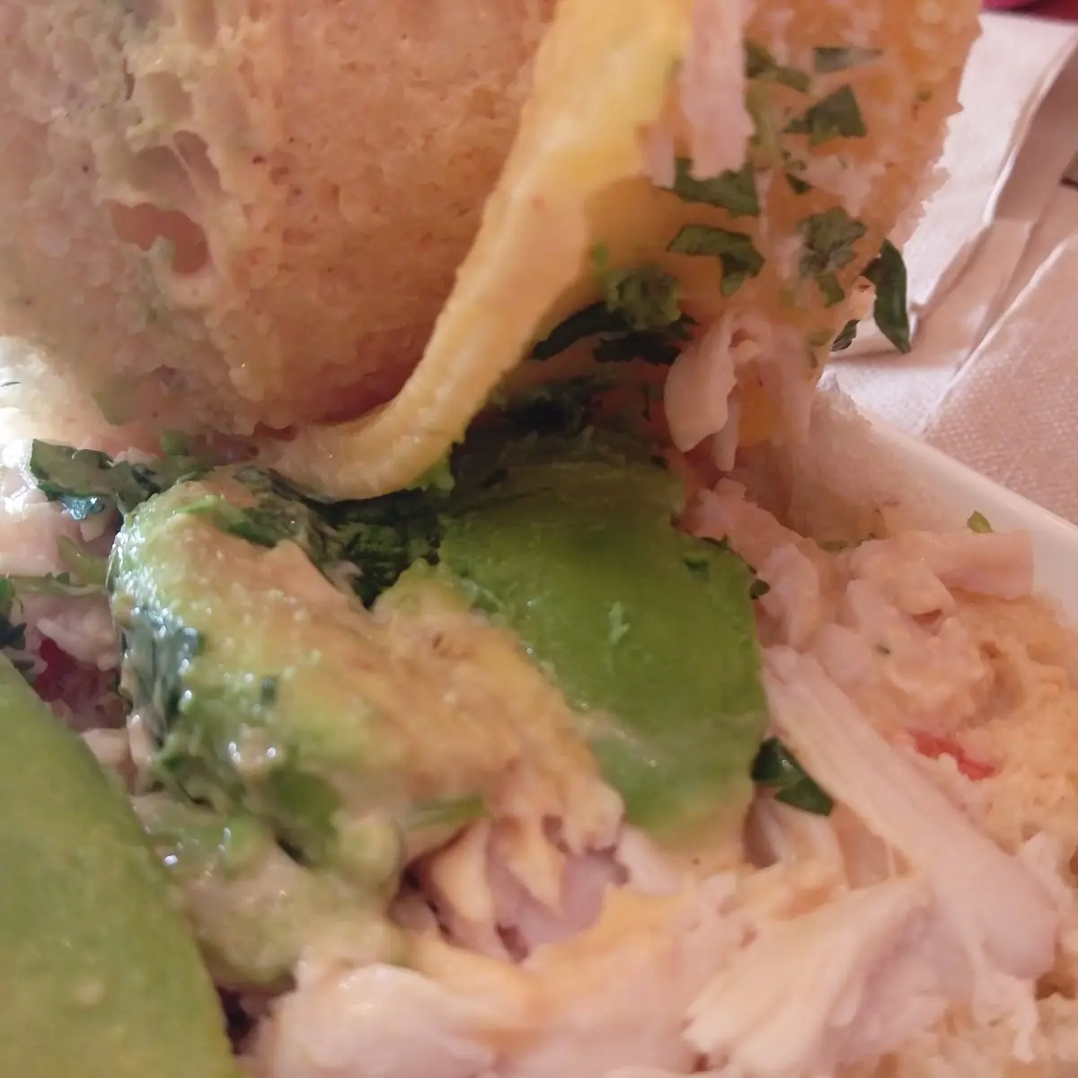 Chicken Avocado Melt