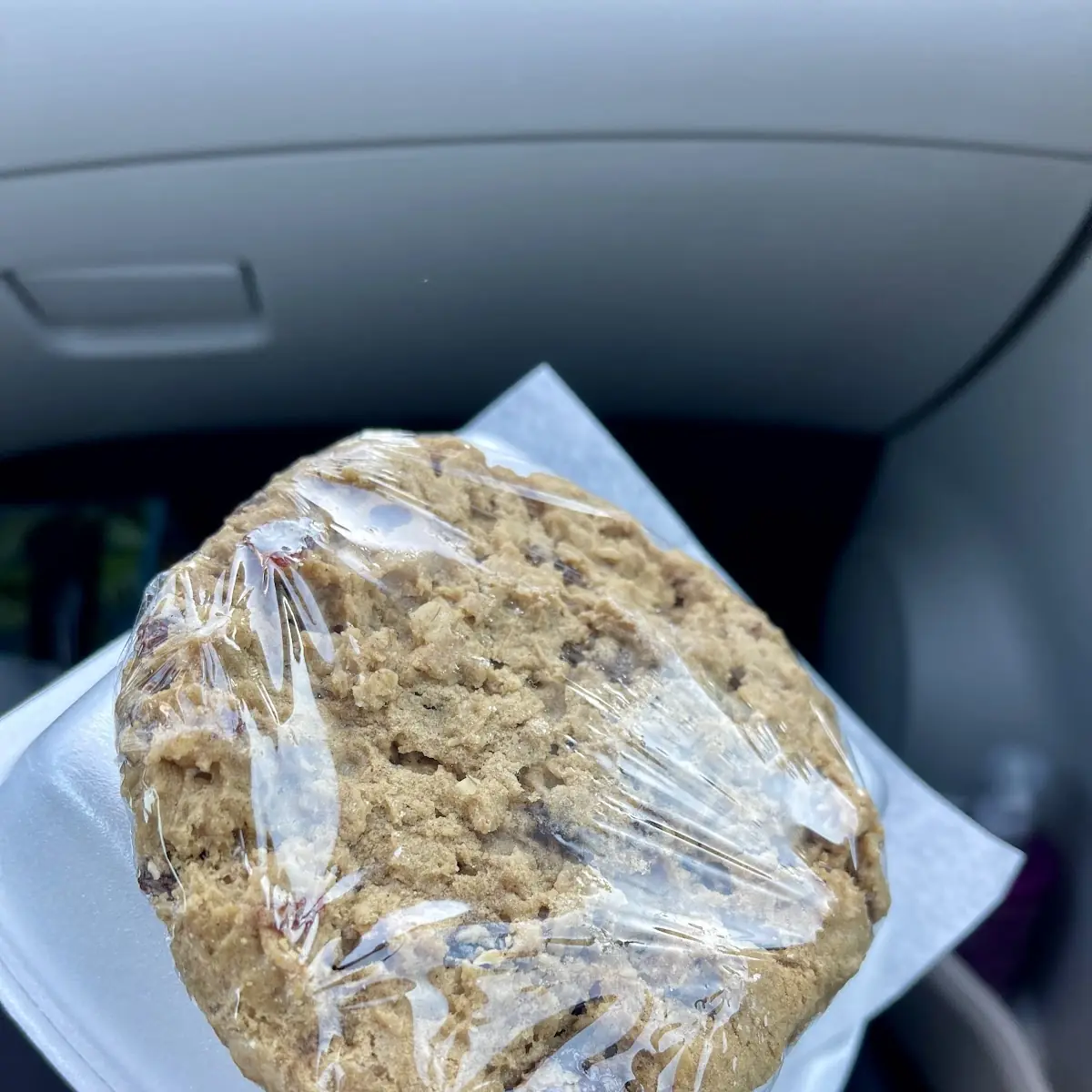 Oatmeal Raisin