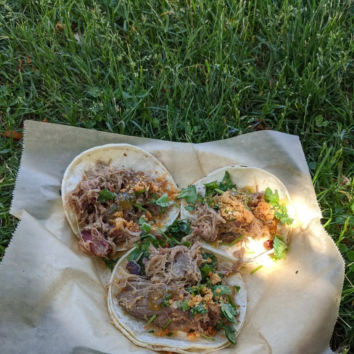 Carnitas Tacos