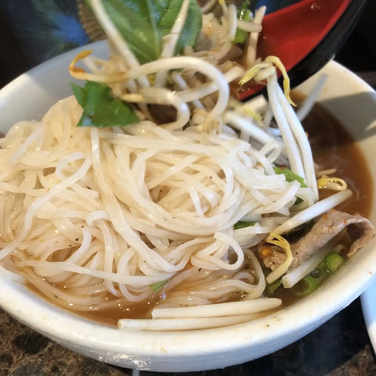 PV Vegetarian Pho