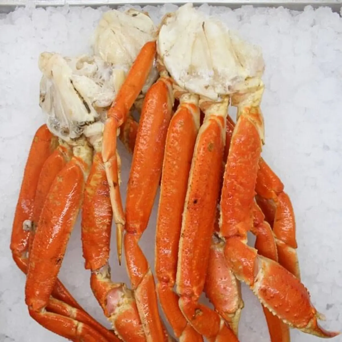 Jumbo Snow Crab Legs - stmd