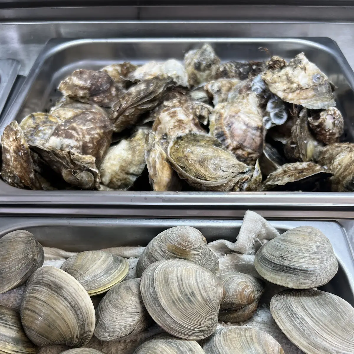 Steamed Clams- Dozen