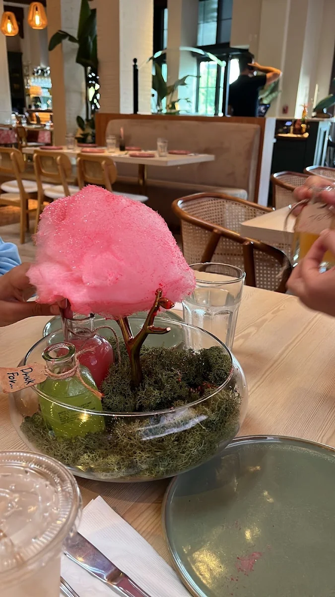 Cotton Candy