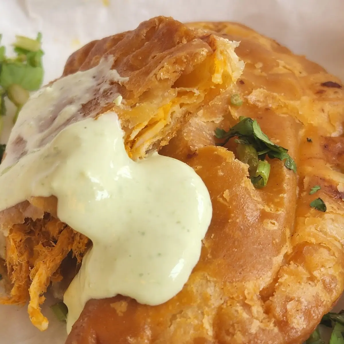 Chicken Empanadas