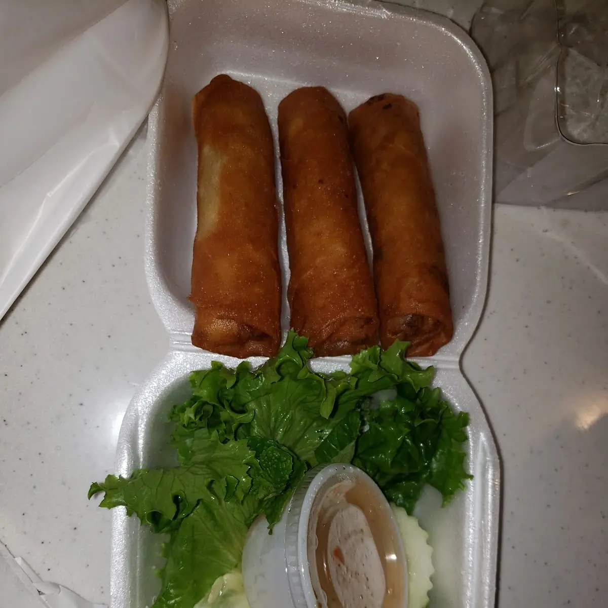 Vegetable Spring Rolls
