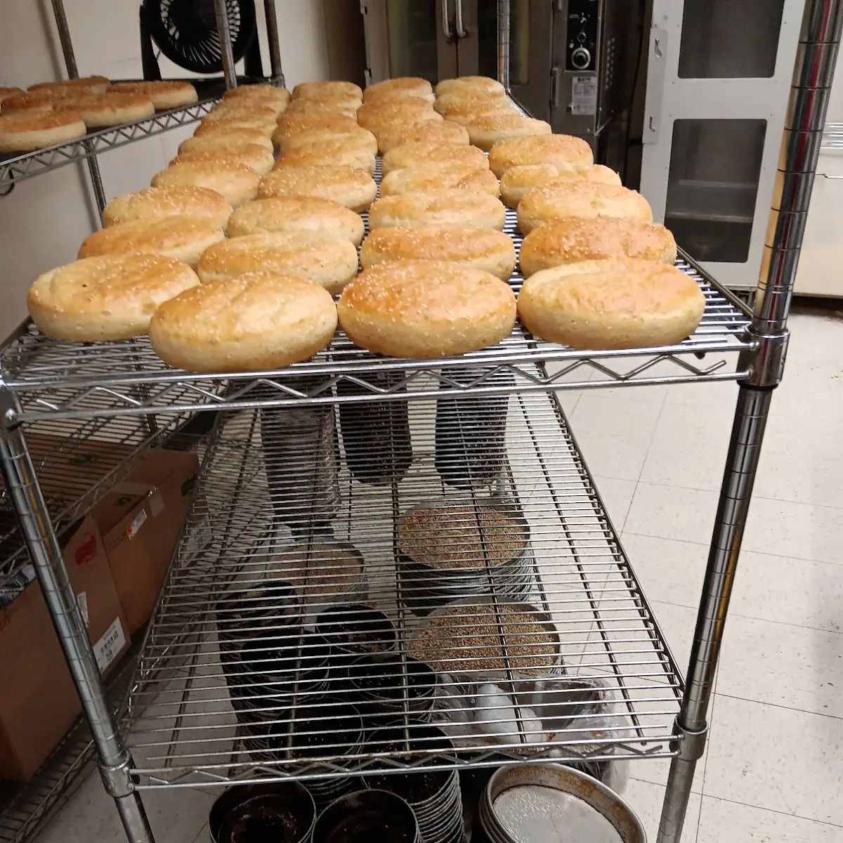 Sourdough Bread