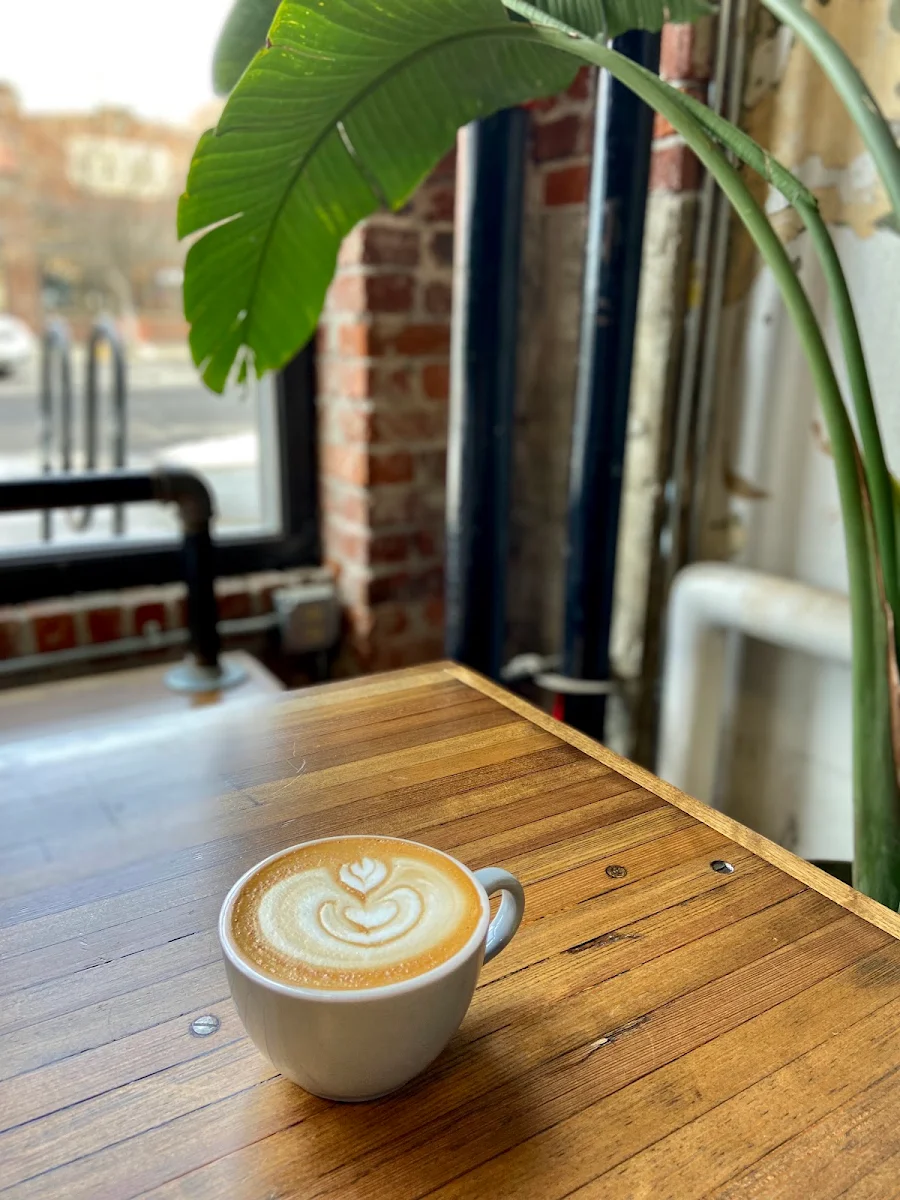 Oat Cappuccino