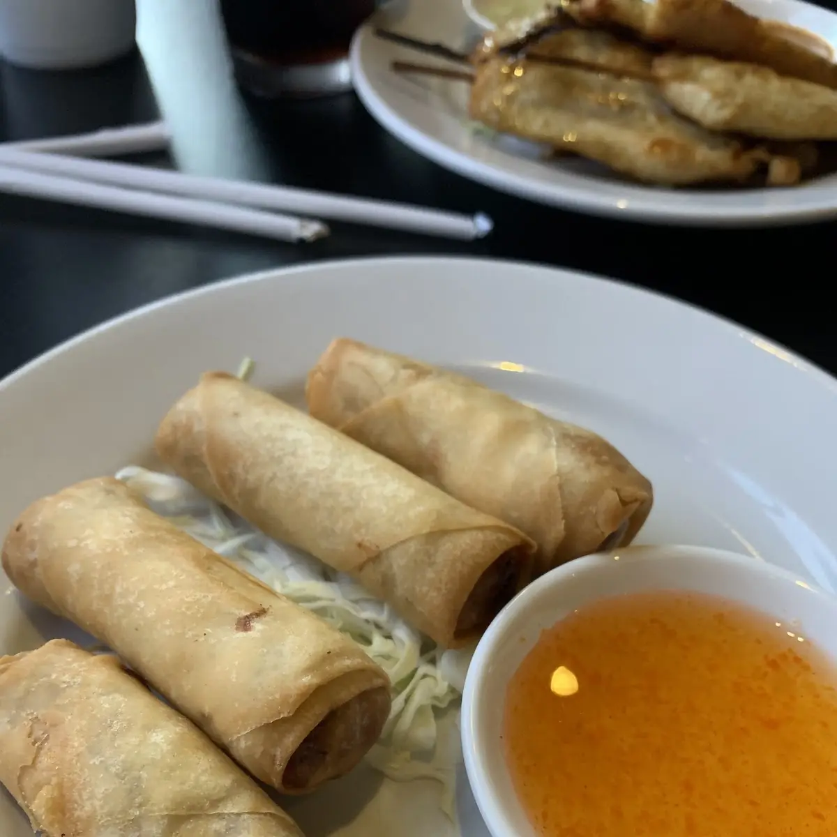 Fried Spring Rolls