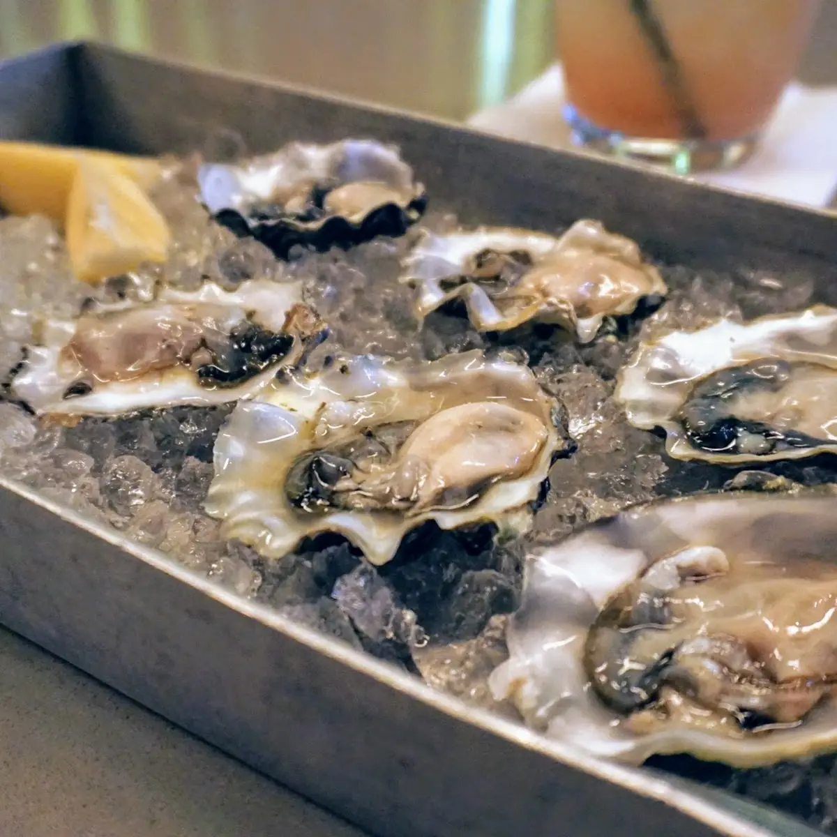 Oysters at Happy Hour