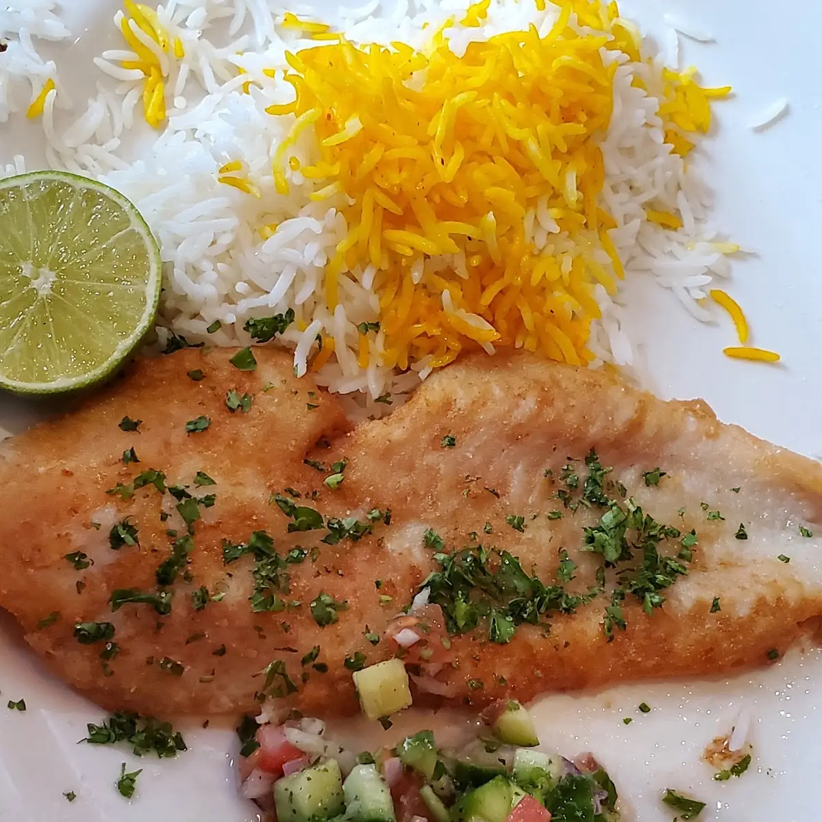 Chicken Soltani Kabob Breast or Thigh Combo