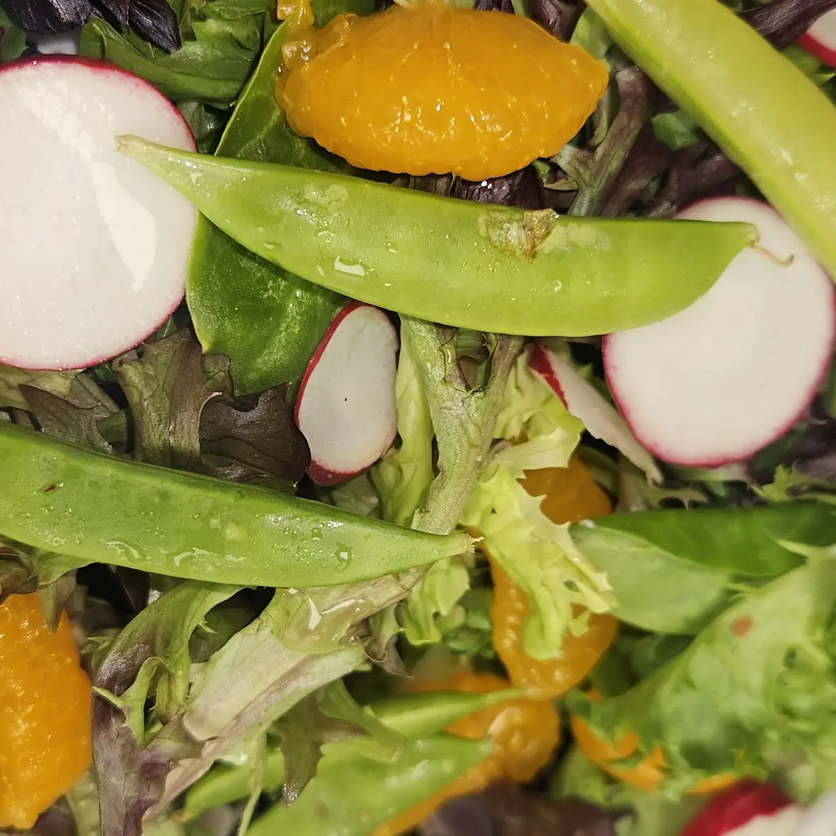 Garden Salad
