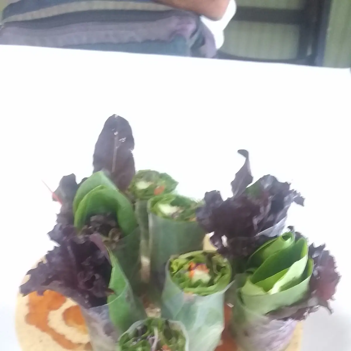 Fresh Spring Rolls