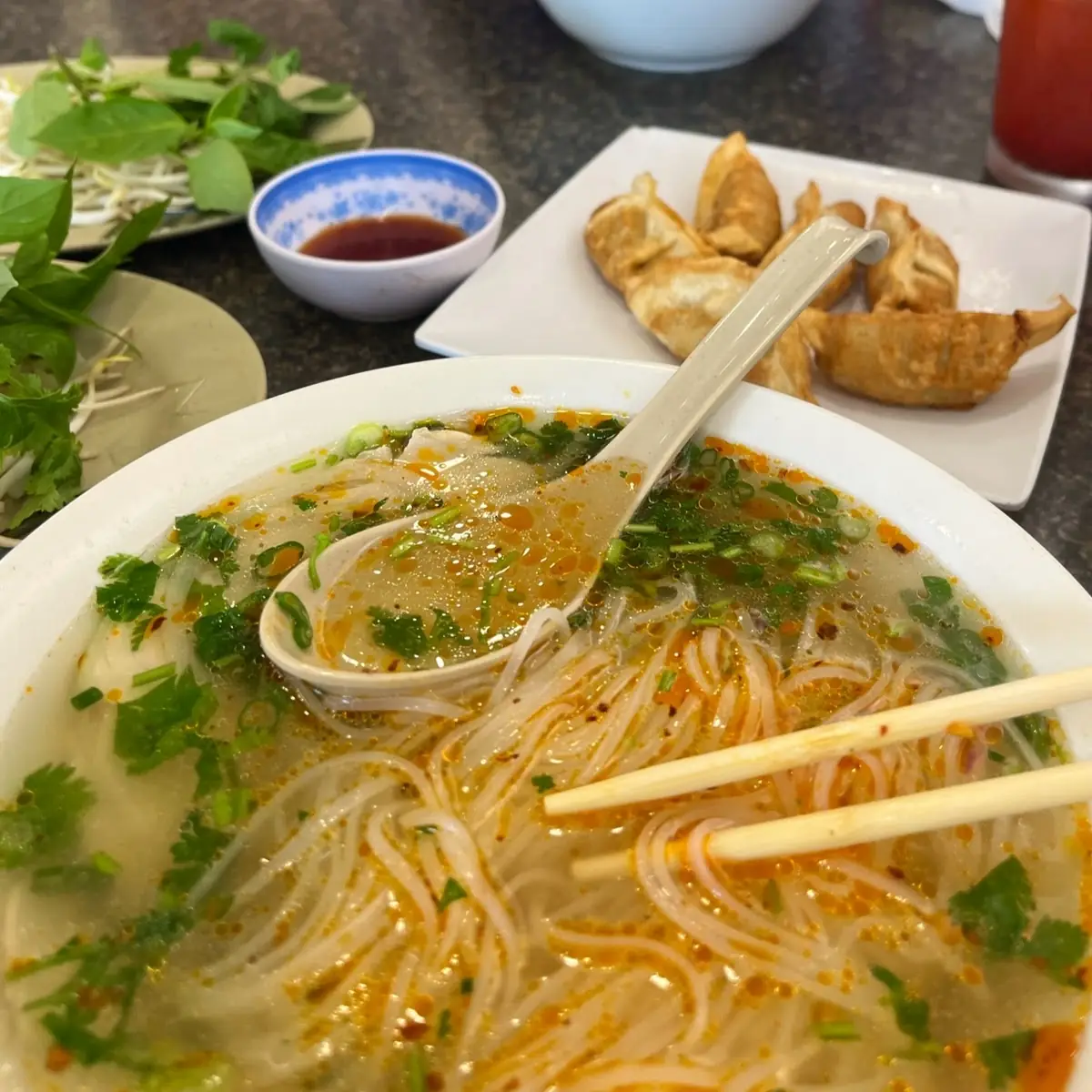 Chicken Noodle Pho