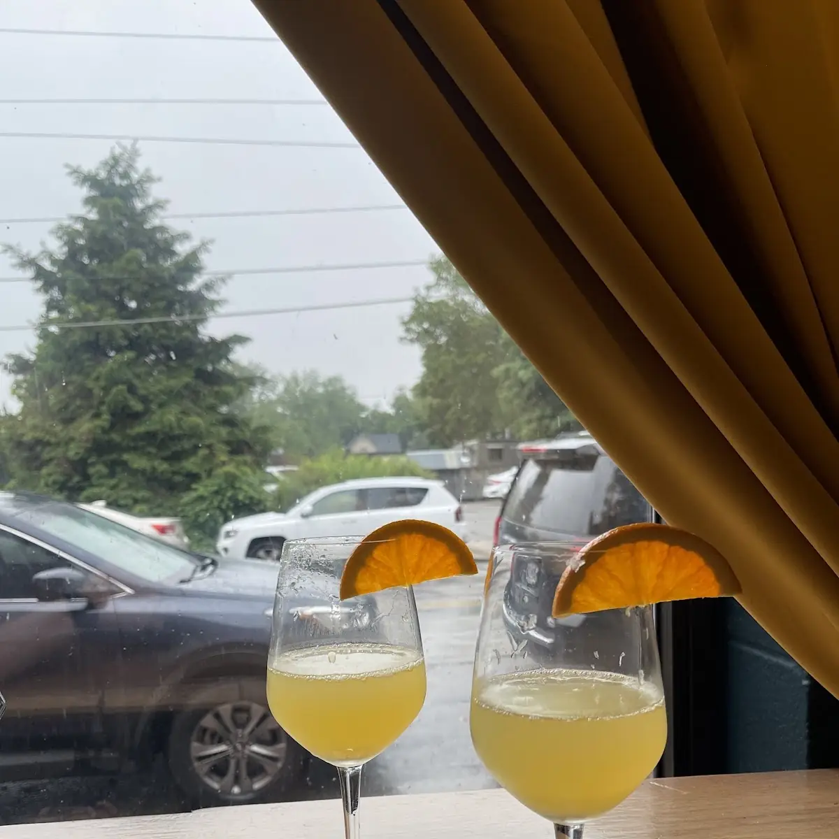 Mimosa Pitcher