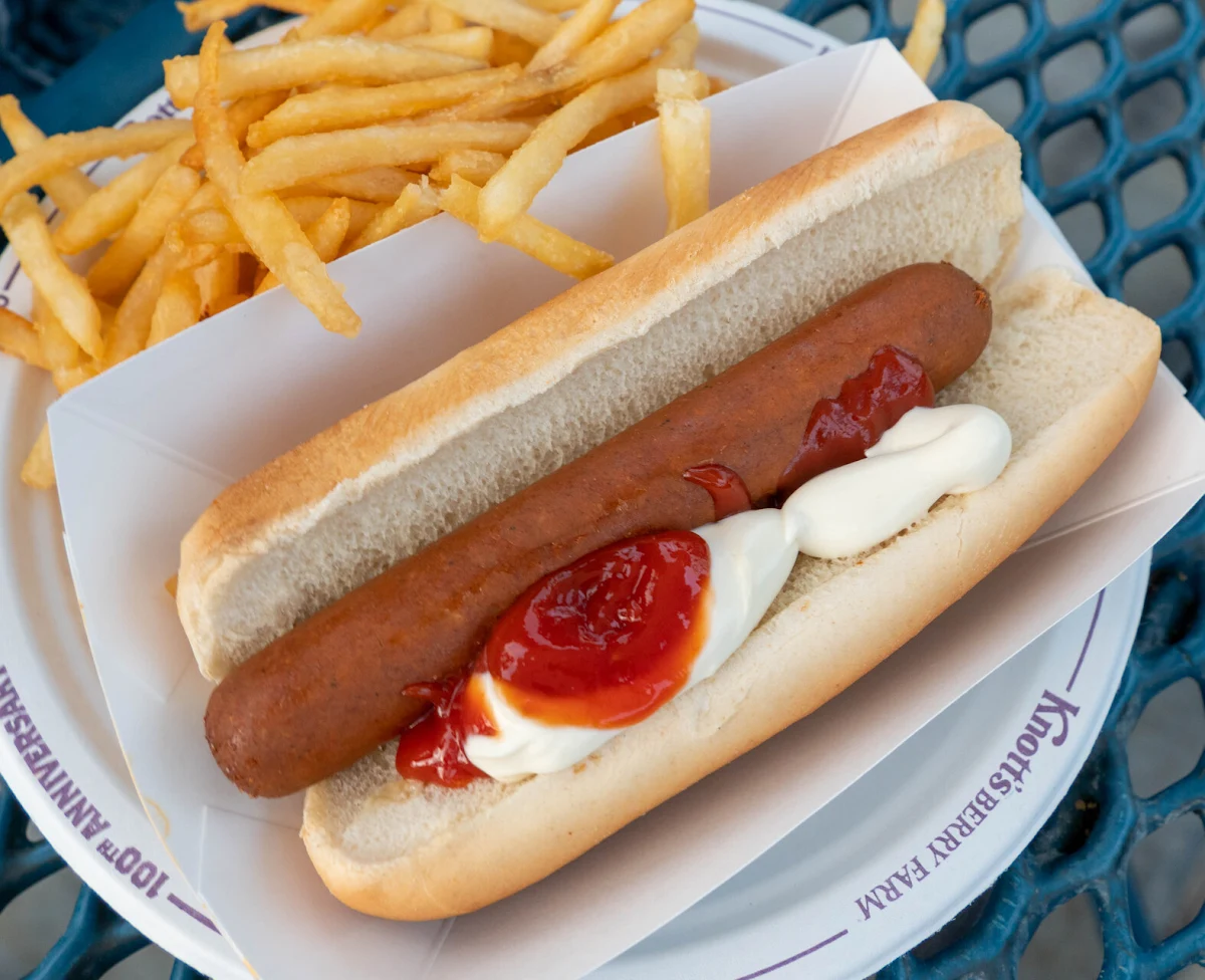Vegan Hot Dog