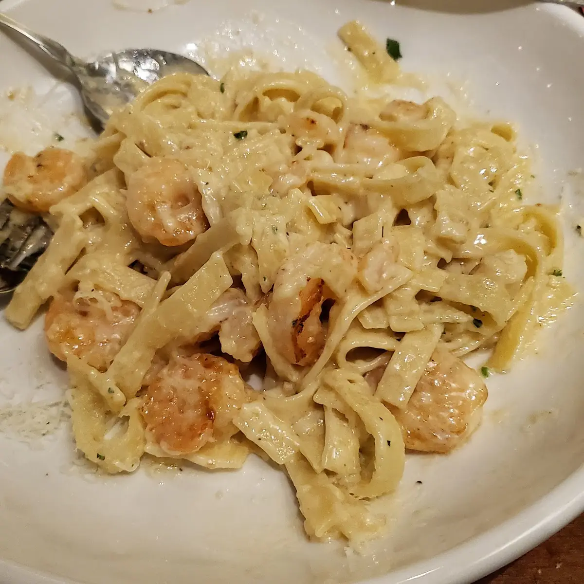Shrimp Alfredo