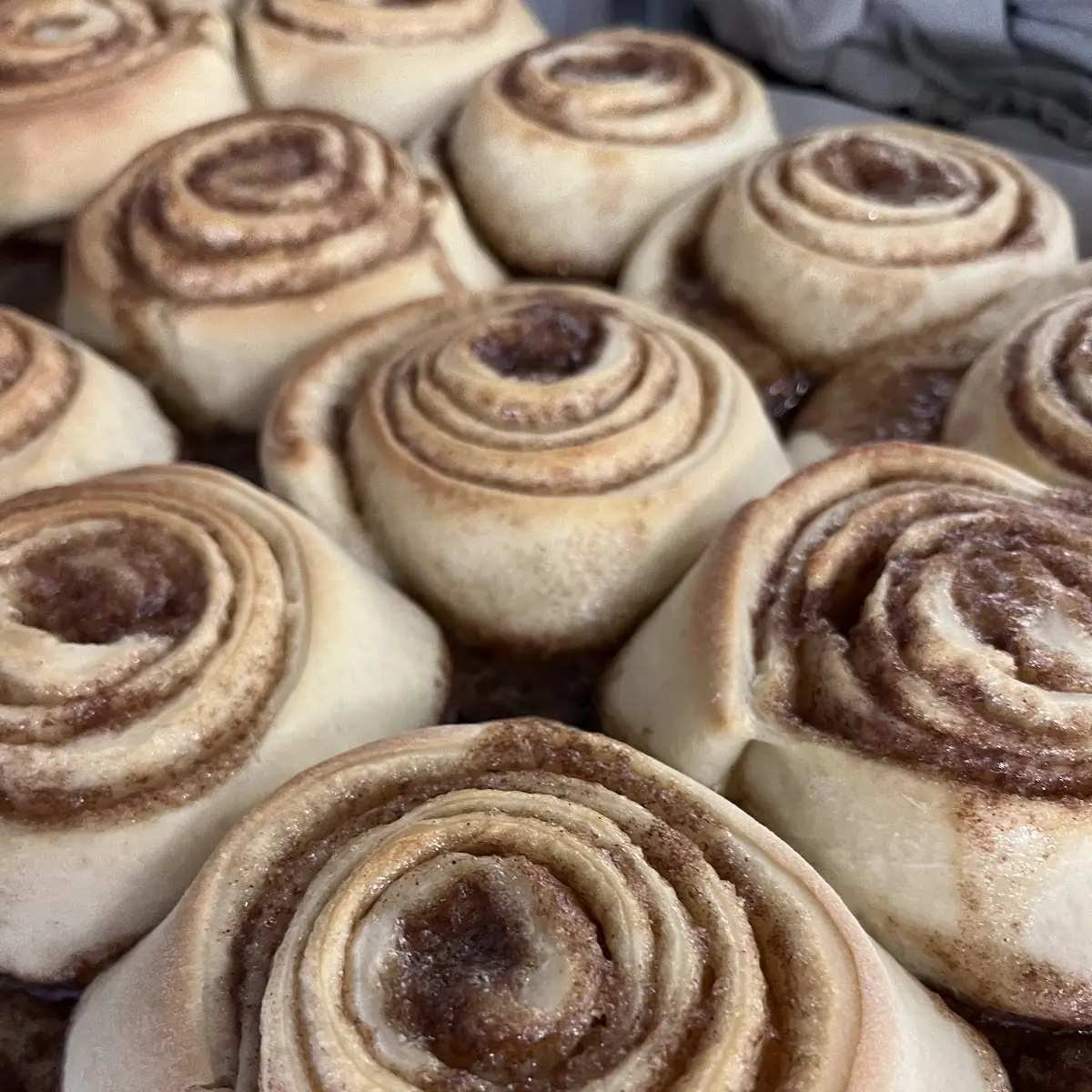 Cinnamon Roll