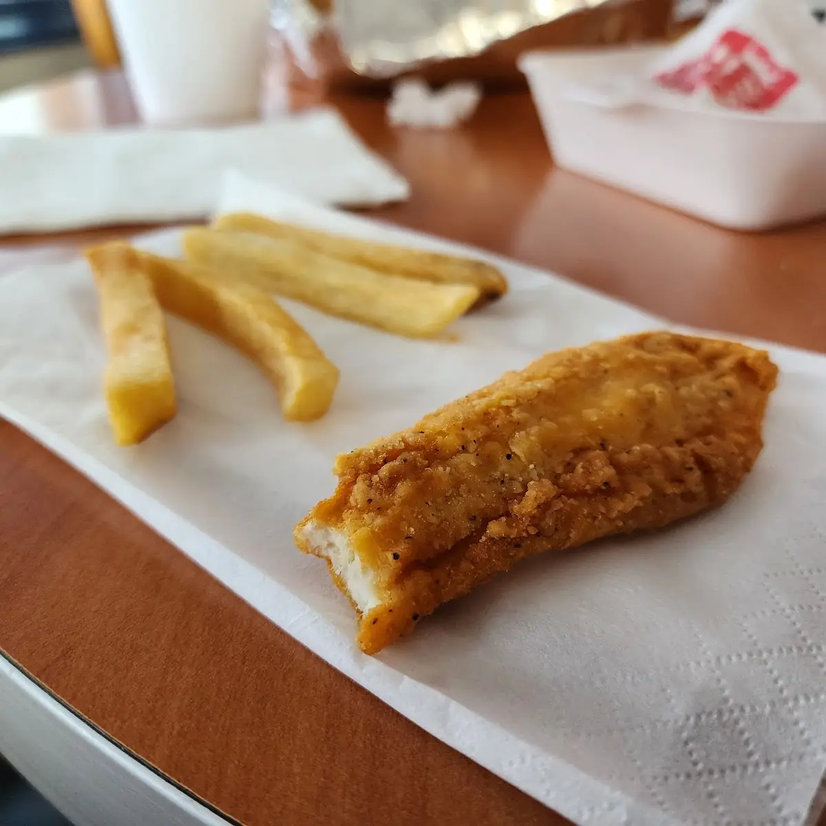 Kids Chicken Strips
