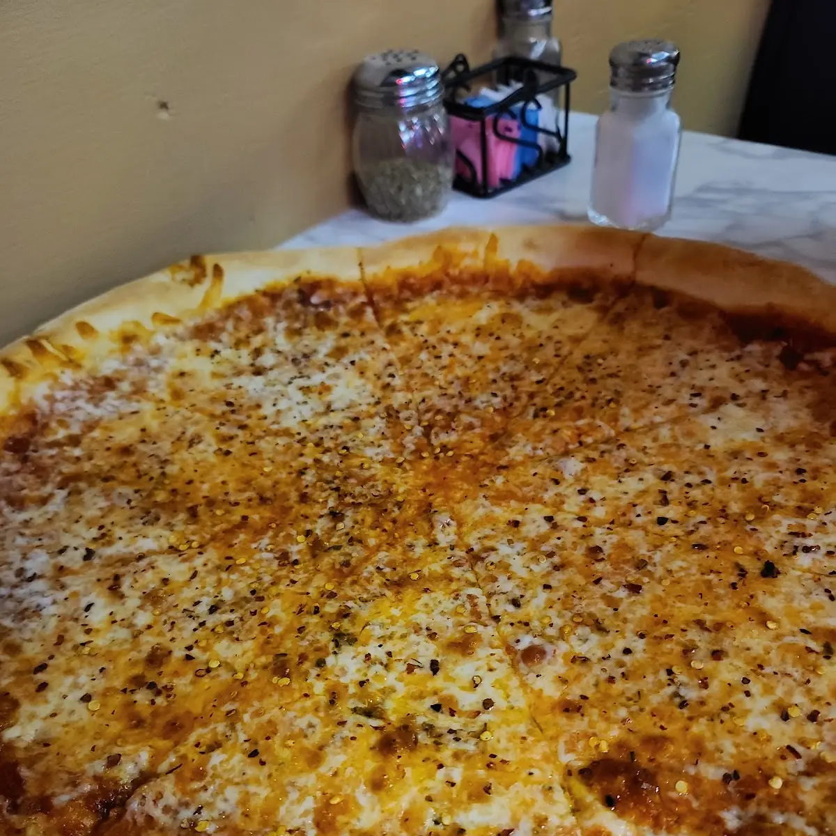 Plain Cheese Pizza
