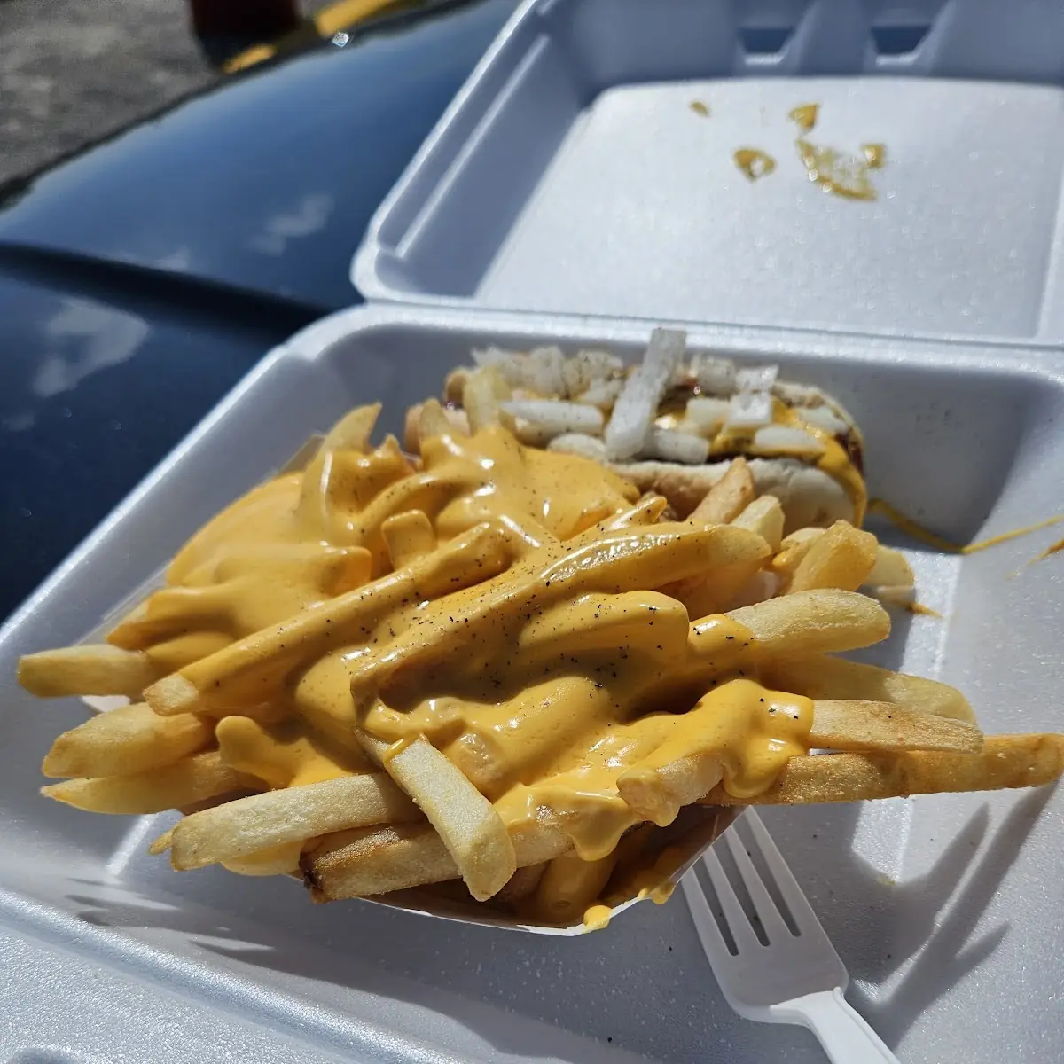 French Fries with Cheese and Chili Cheese Dog