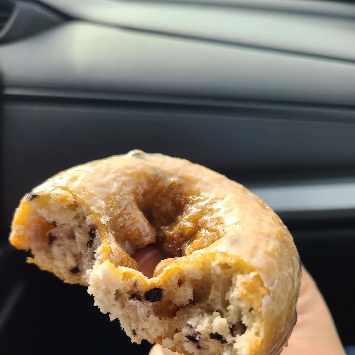 Blueberry Donut
