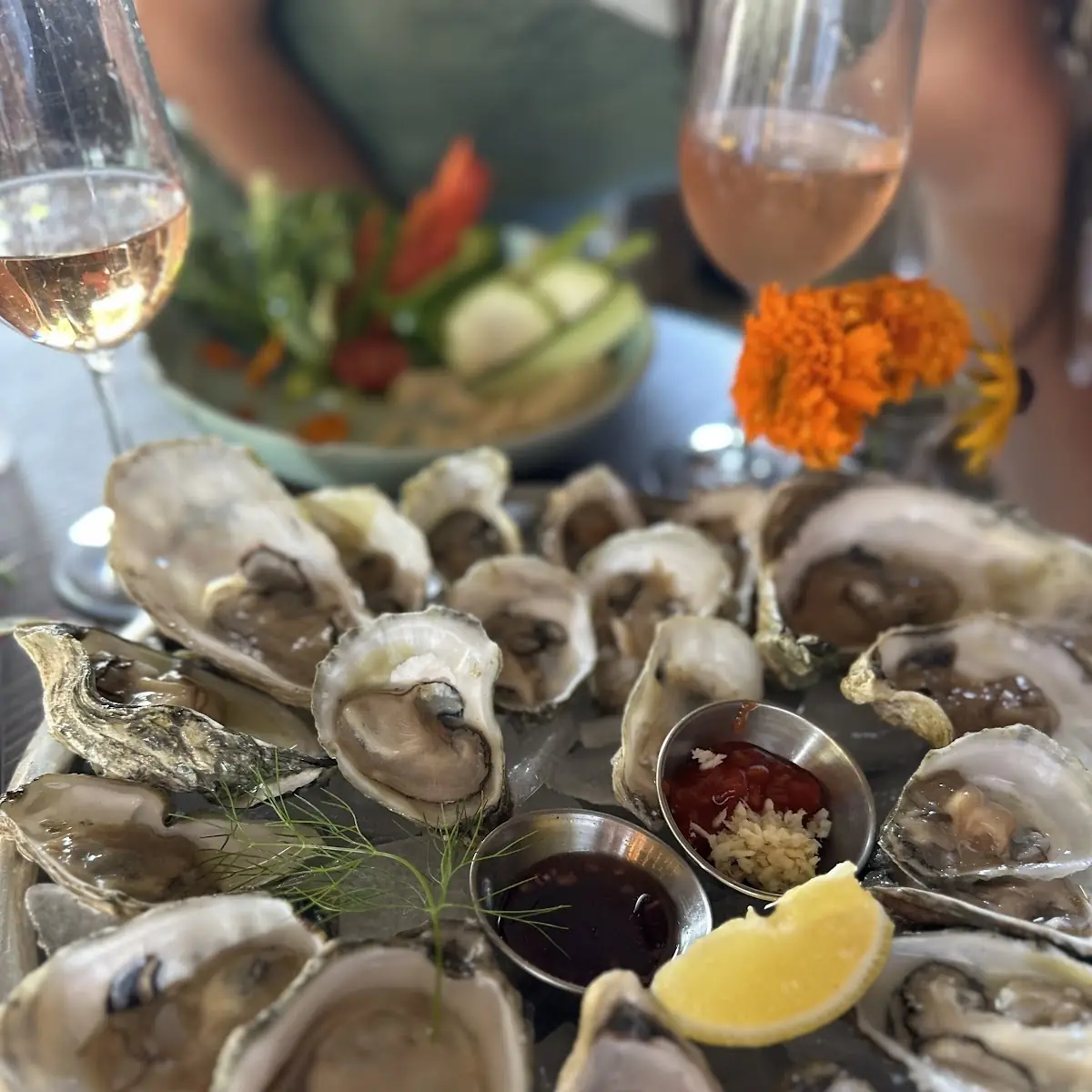 Pemaquid Oysters on the Half Shell