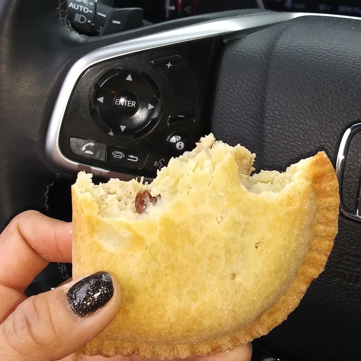 Chicken Empanada