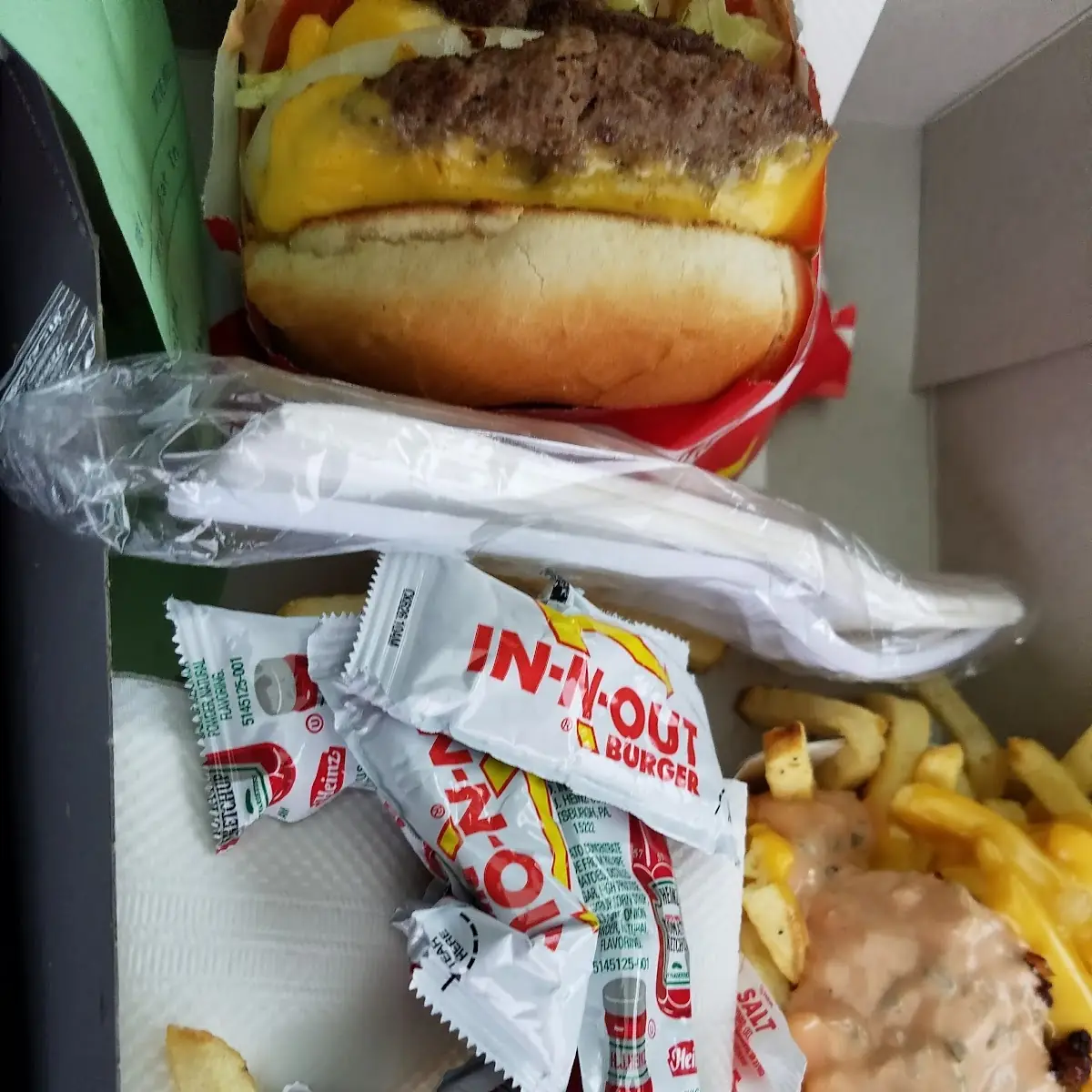 Loaded French Fries