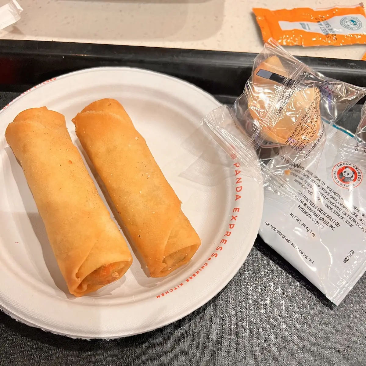 Veggie Spring Rolls 2