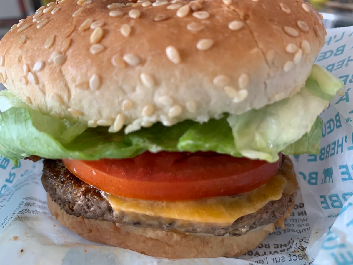 Double Teen Burger
